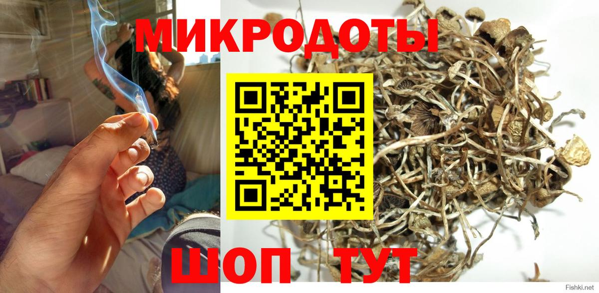 Галлюциногенные грибы Psilocybe  Галлюциногенные грибы мухоморы  Евпатория  Вход с VPN 